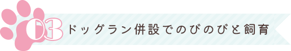 ドッグラン併設でのびのびと飼育