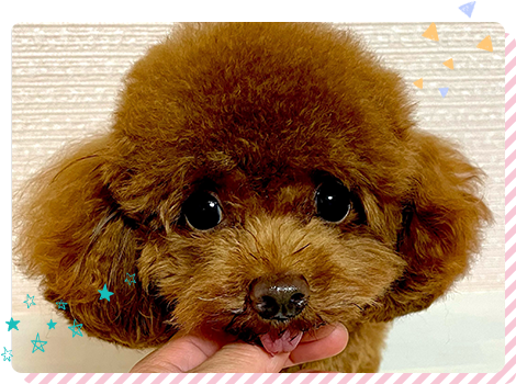 健康管理や衛生管理の徹底