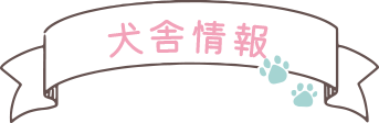 犬舎情報