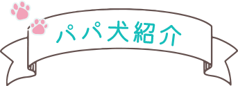 パパ犬紹介