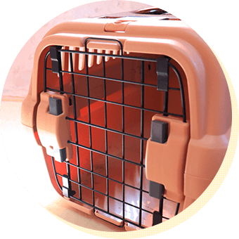 クレート（キャリーバッグ）